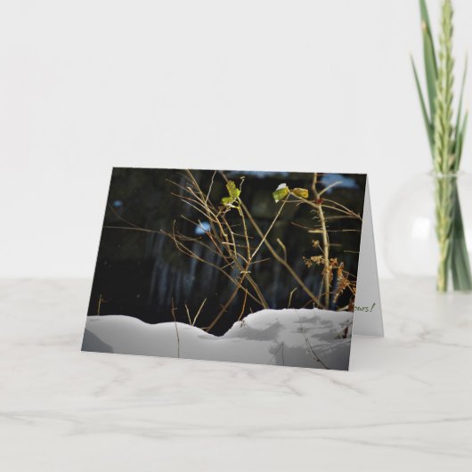 Carte de Noël "Unseen Minnesnowta" (Devant)