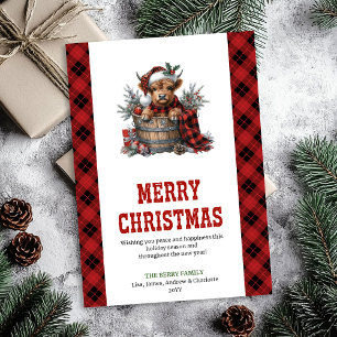 Carte de Noël vache highland poinsettias rouges