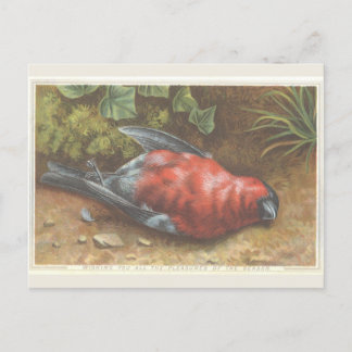 Carte de Noël Victorian Dead Bird