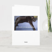 Carte de Noël vilaine ou Nice d'espion de chat (Dos)