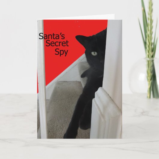 Carte de Noël vilaine ou Nice d'espion de chat (Devant)