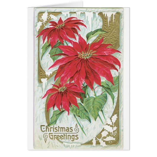 Carte de Noël Vintage Poinsettia Fleurs rouges Noë (Devant)