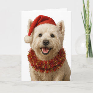 Carte de Noël West Highland Terrier