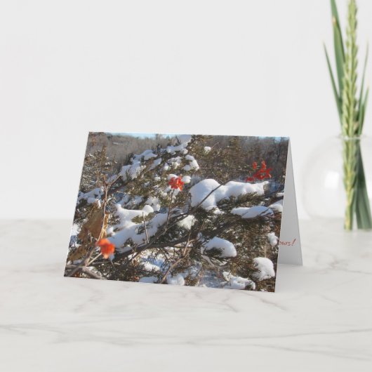 Carte de Noël "Winter Blossoms" (Devant)