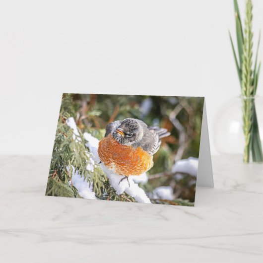 Carte de Noël Winter Robin (Devant)