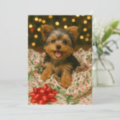 Carte de Noël Yorkie (Debout devant)