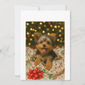 Carte de Noël Yorkie (Dos)