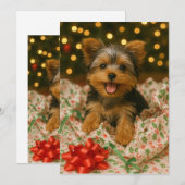 Carte de Noël Yorkie (Devant / Derrière)