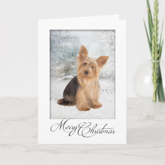 Carte de Noël Yorkie (Devant)