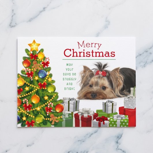 Carte de Noël Yorkshire Terrier