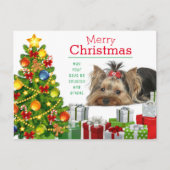 Carte de Noël Yorkshire Terrier (Devant)