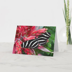 Carte de Noël Zebra Longwing