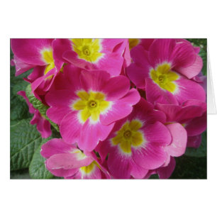 Carte de note à Fleur Rose chaud