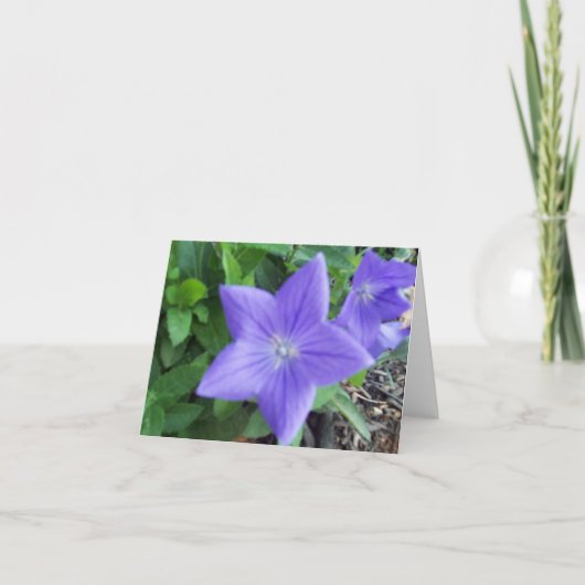 Carte de note à fleurs bleues (Devant)