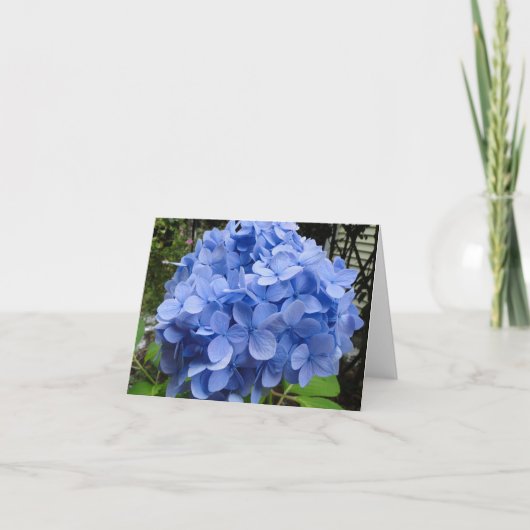 Carte de note à fleurs bleues Hydrangea vierge (Devant)