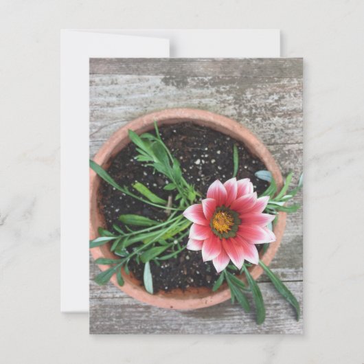 Carte de note à fleurs roses (Devant)