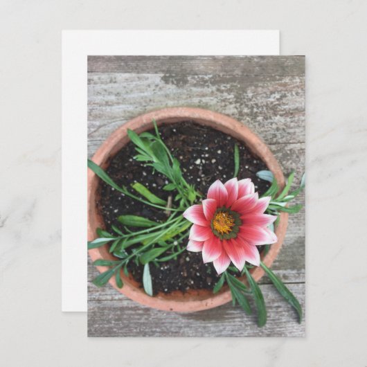 Carte de note à fleurs roses (Devant / Derrière)