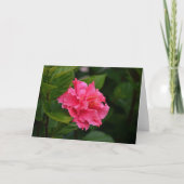 Carte de note à fleurs tropicales Hibiscus rose (Devant)