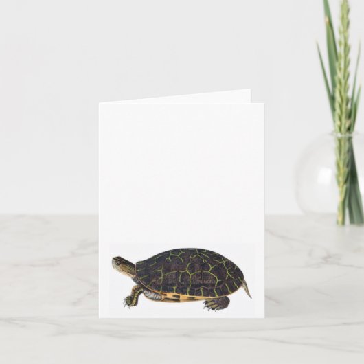 Carte de note adorable de tortue (Devant)
