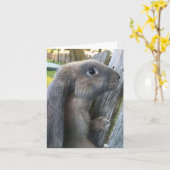 Carte de note anglaise de lapin de Lop (Fleur jaune)
