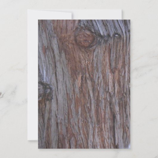 Carte de note Arbres hommes (Devant)