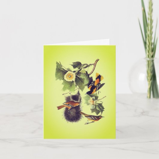 Carte de note aux oiseaux Troupial Oriole Audubon (Devant)