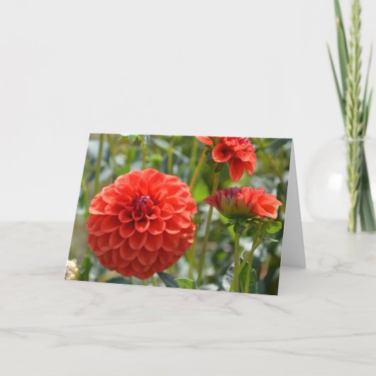 Carte de note avec dahlia orange (Devant)