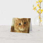 Carte de note avec le chat mignon (Fleur jaune)