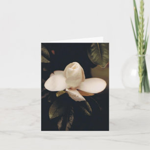 Carte de note avec Magnolia Blossom