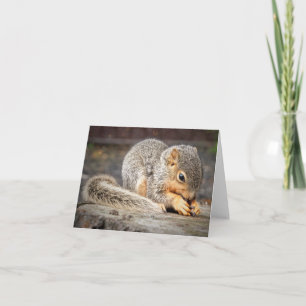 Carte de note Bebe Squirel