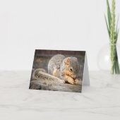 Carte de note Bebe Squirel (Devant)