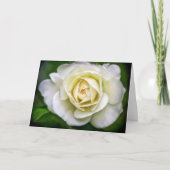 Carte de note blanche à l'art floral rose (Devant)