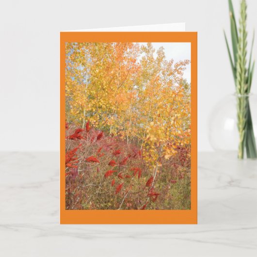 Carte de note blanche Aspen et Sumac (Devant)