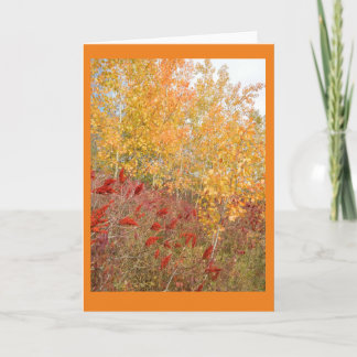 Carte de note blanche Aspen et Sumac