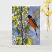 Carte de note blanche Baltimore Oriole (Fleur jaune)
