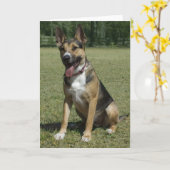 Carte de note blanche berger allemand (Fleur jaune)