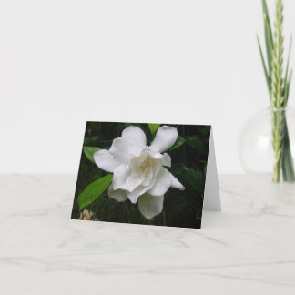 Carte de note blanche brillante de fleurs de