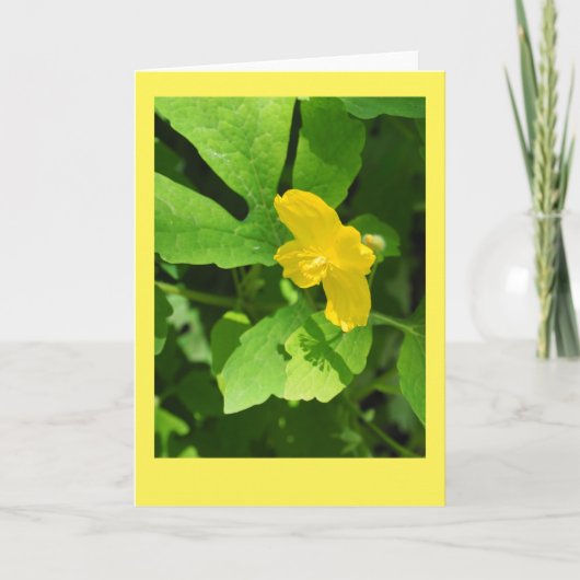 Carte de note blanche Celandine Poppy (Devant)