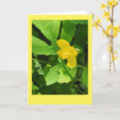 Carte de note blanche Celandine Poppy (Fleur jaune)