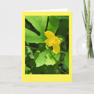 Carte de note blanche Celandine Poppy