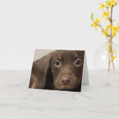 Carte de note blanche Chien de poche (Fleur jaune)