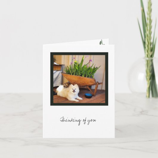 Carte de note blanche Cosmo Collection (Devant)