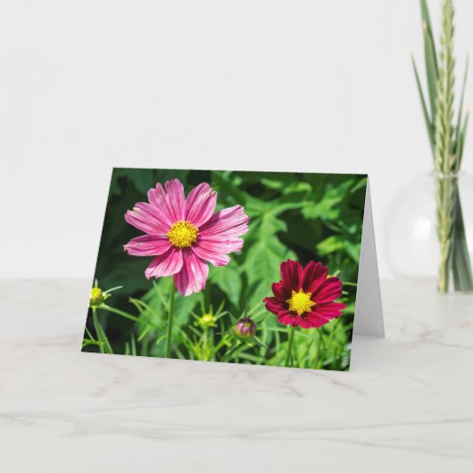 Carte de note blanche Cosmos (Devant)
