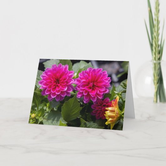 Carte de note blanche Dahlia rose (Devant)