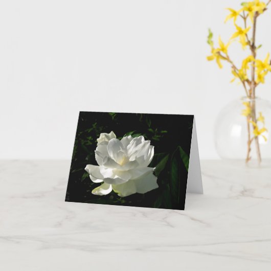 Carte de note blanche de fleur de gardénia (Fleur jaune)