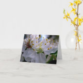 Carte de note blanche de fleurs de cerisier (Fleur jaune)