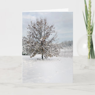 Carte de note blanche de la première neige