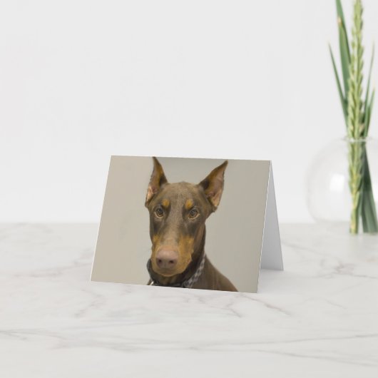 Carte de note blanche Doberman (Devant)