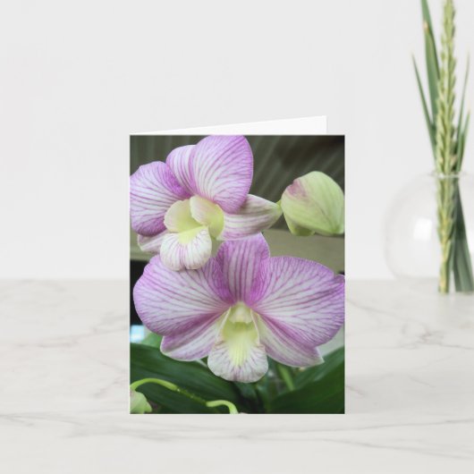 Carte de note blanche et violette pour orchidée (Devant)