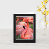 Carte de note blanche Flamant rose rose (Fleur jaune)